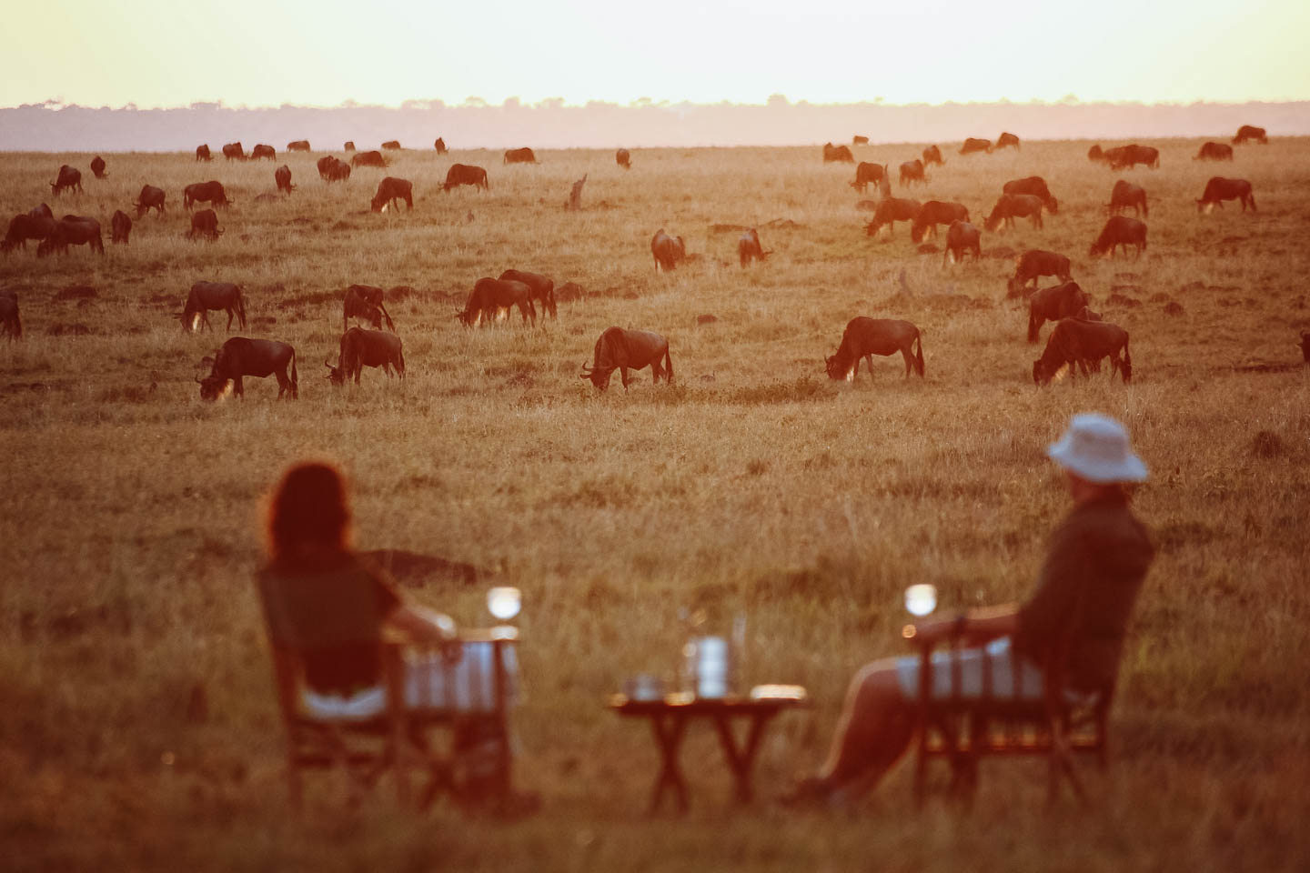 best Africa honeymoons elephant pepper camp activities sundowners wildebeest