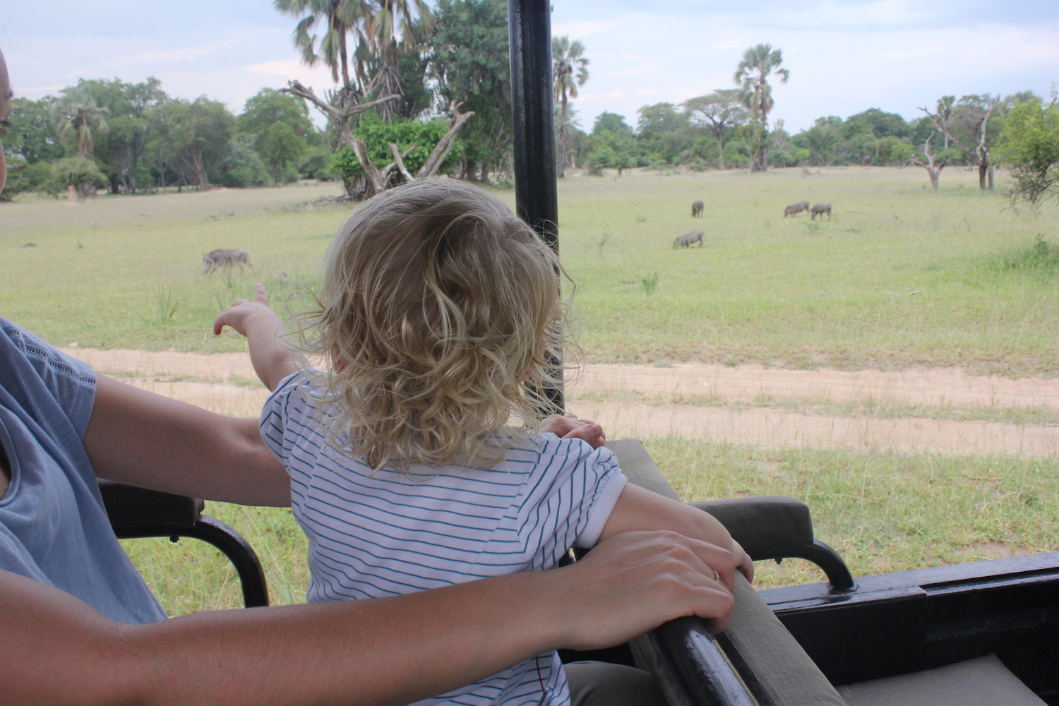 baby on safari