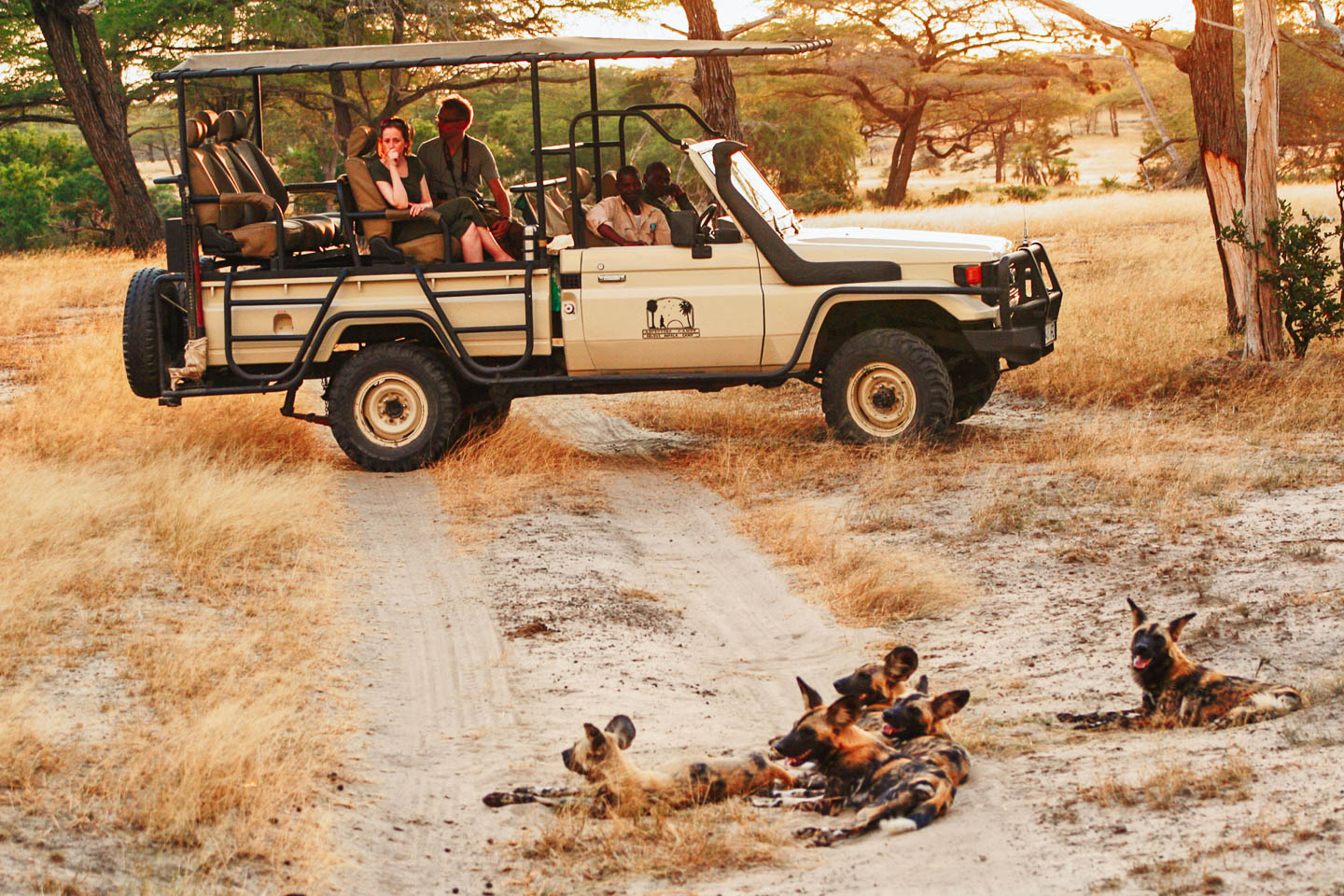 tanzania-selous-wildog-safari-gamedrive-timbuktu-travel east africa safaris