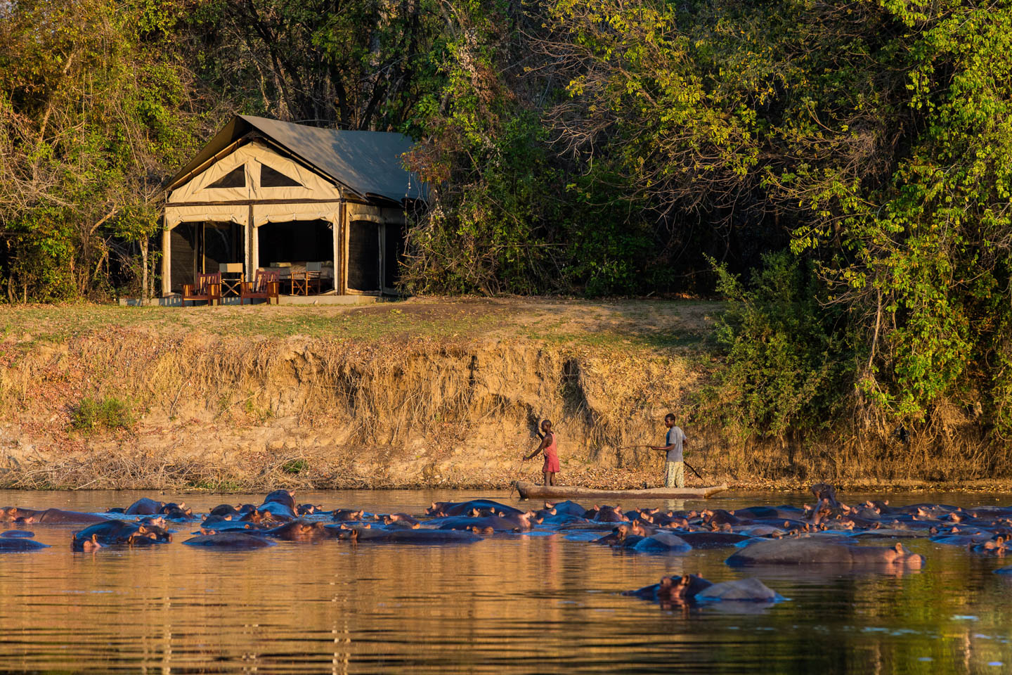 African safari lodges hippos river luambe camp zambia