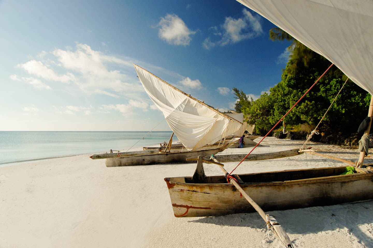 Indian Ocean Islands manta beach pemba island zanzibar tanzania boat dhow