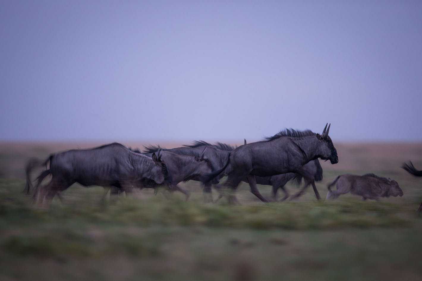 Best time to visit Zambia