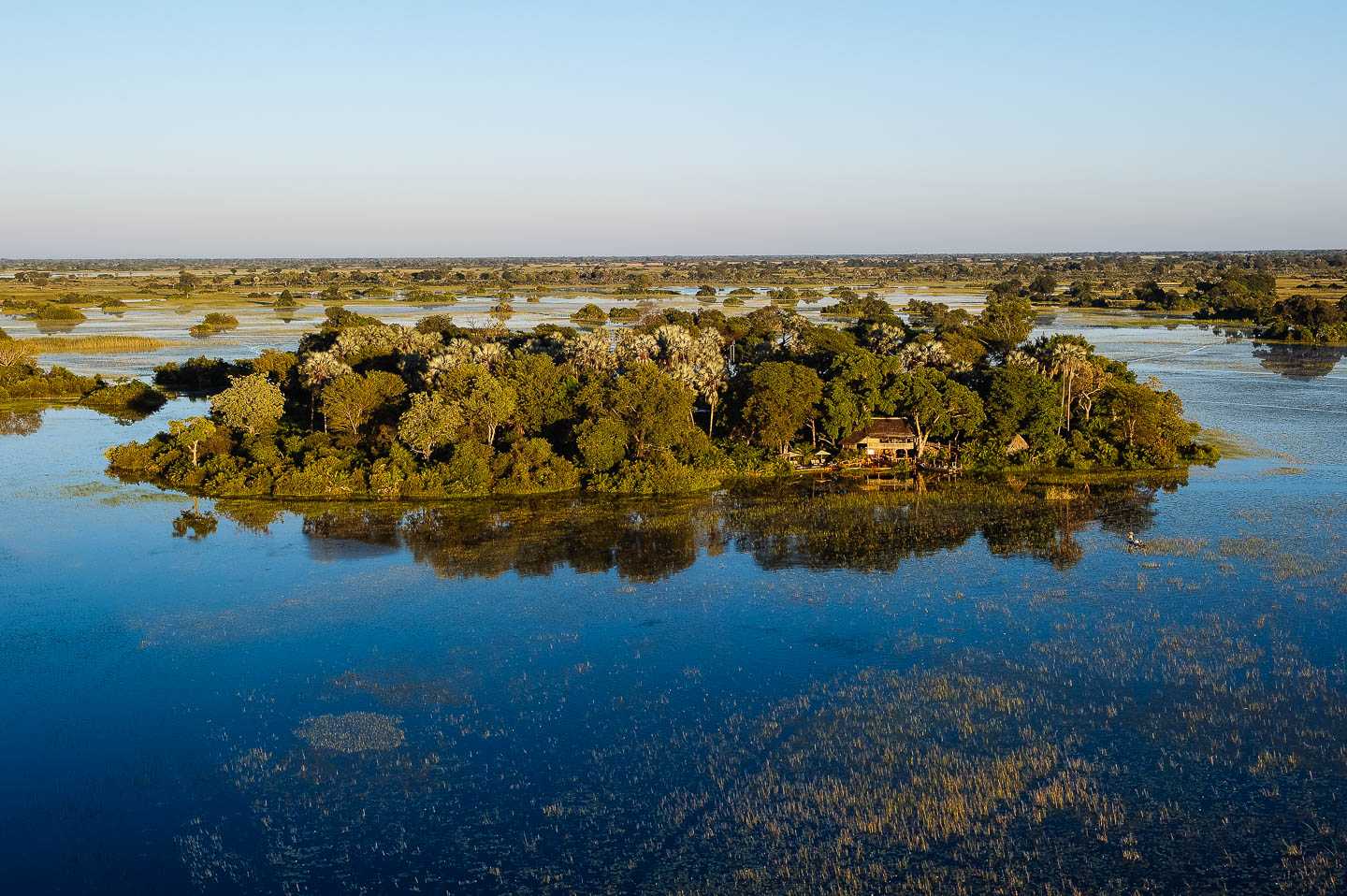 The True Story of the Okavango Delta