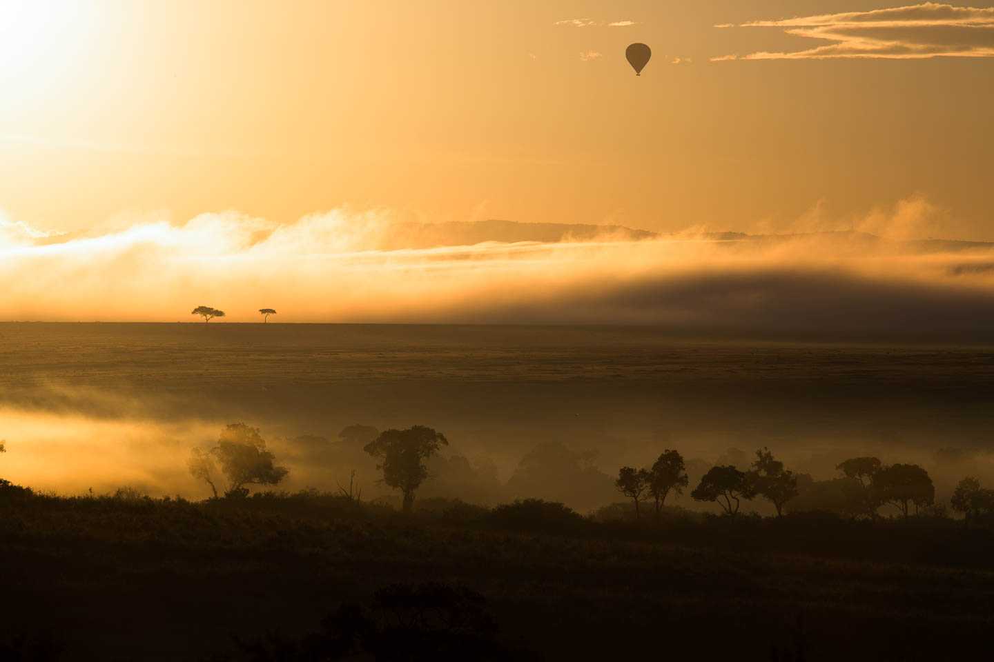 Best Camps to See the Great Wildebeest Migration