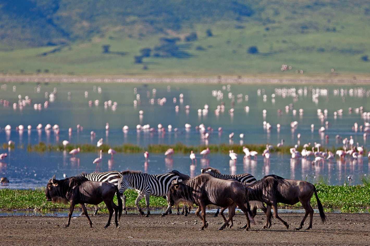 Top Tanzania Travel Tips