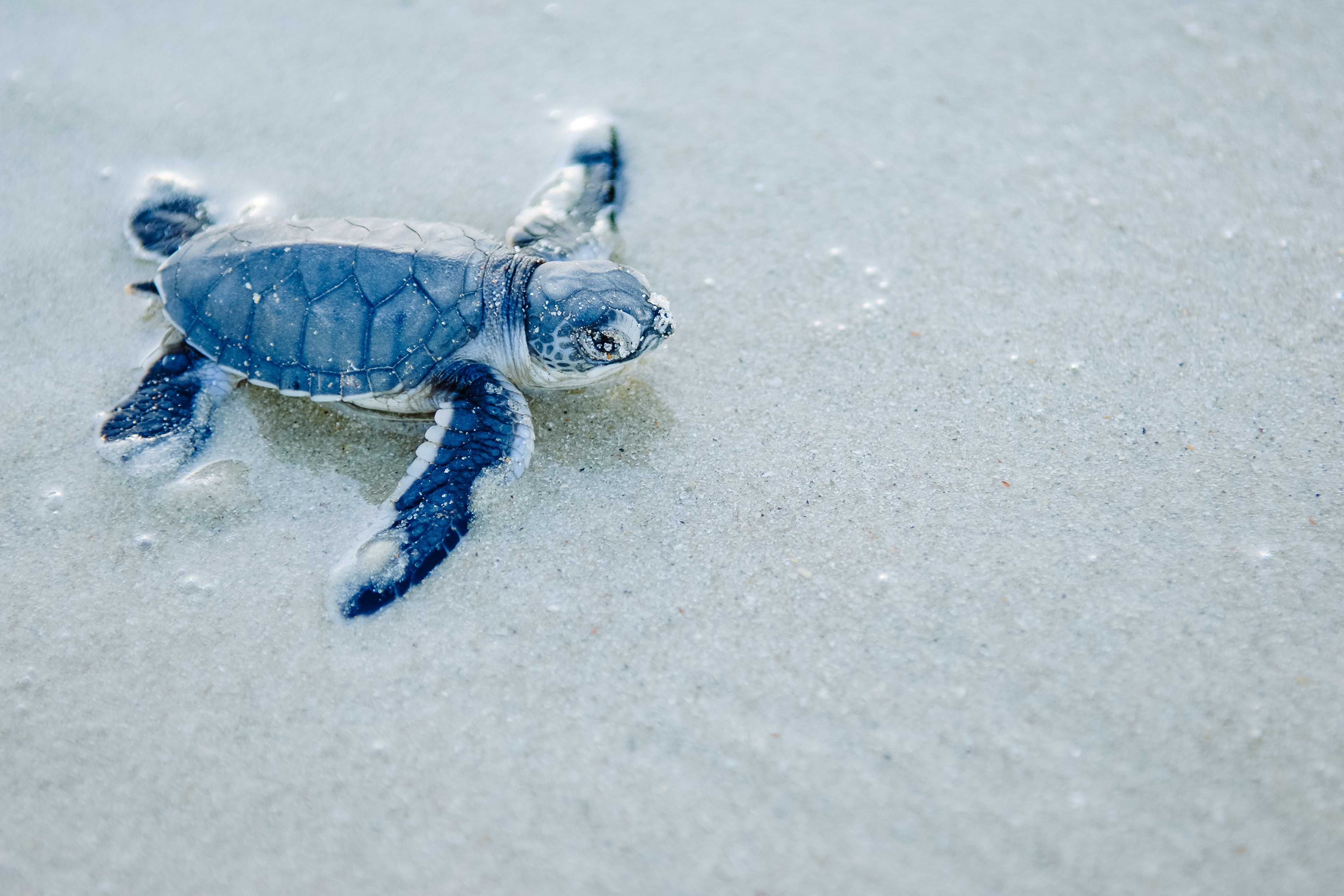 Top things to do in Zanzibar