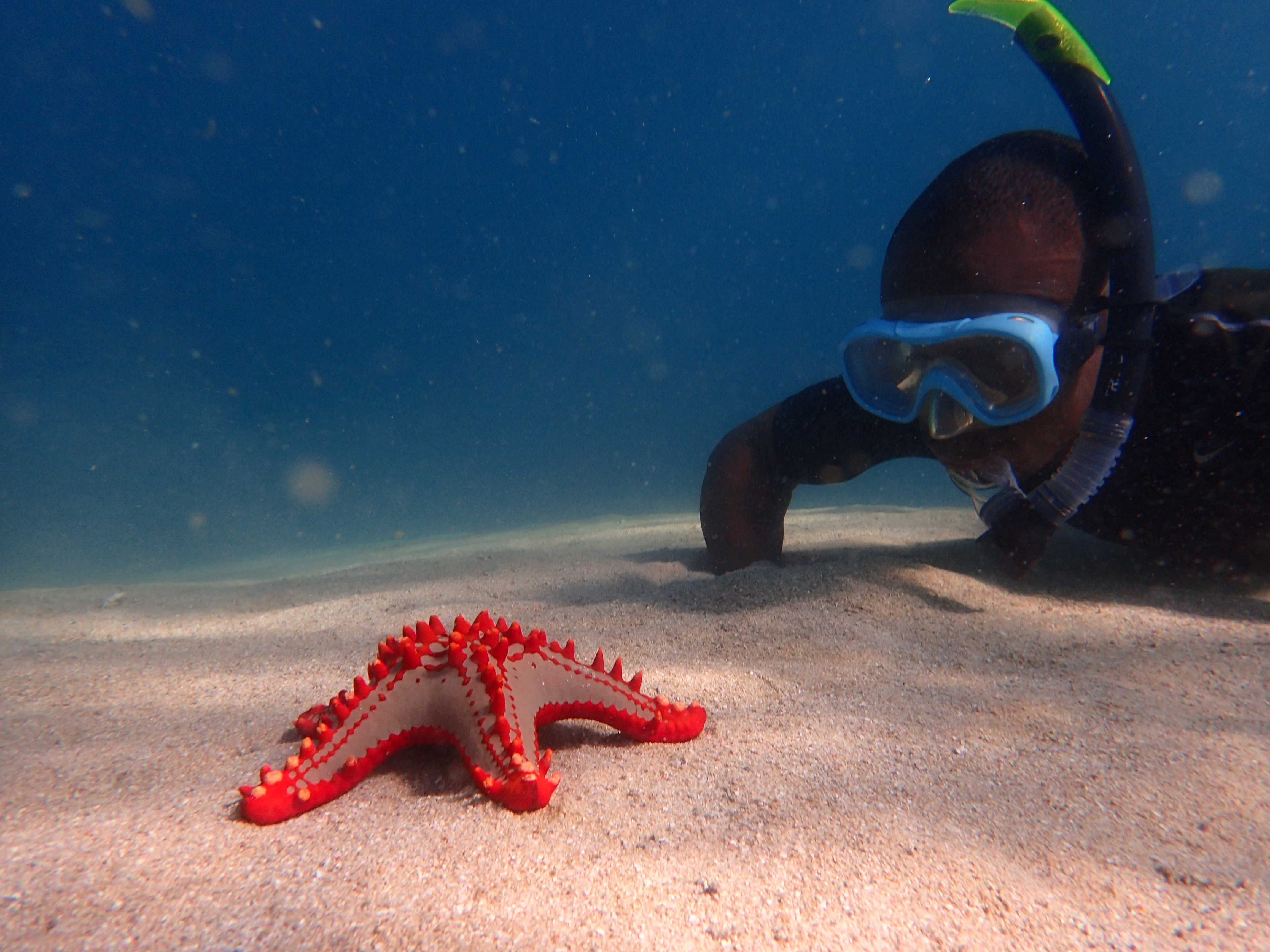 Mozambican dhow safari archipelago diving snorkelling