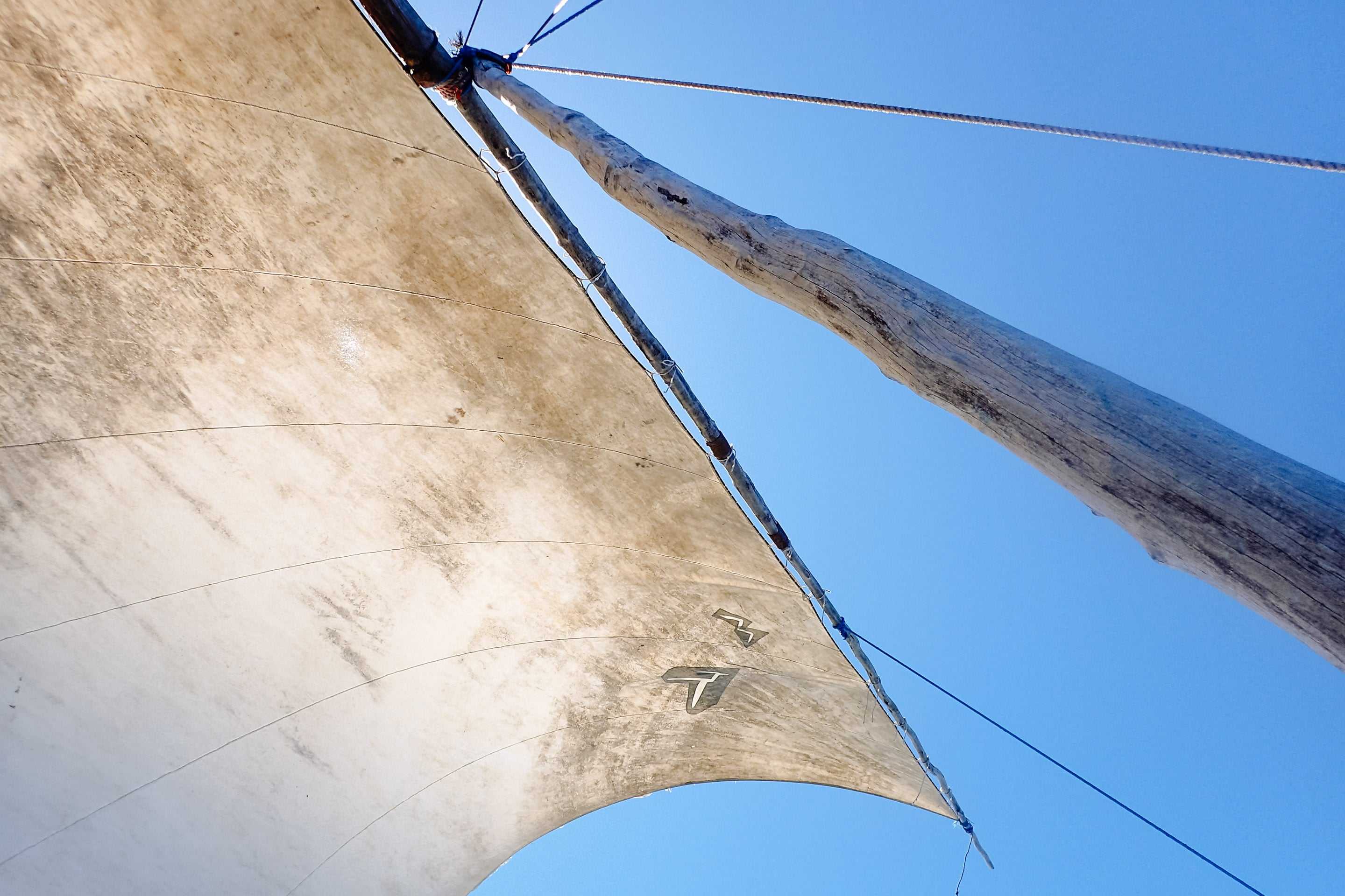Mozambican dhow safari