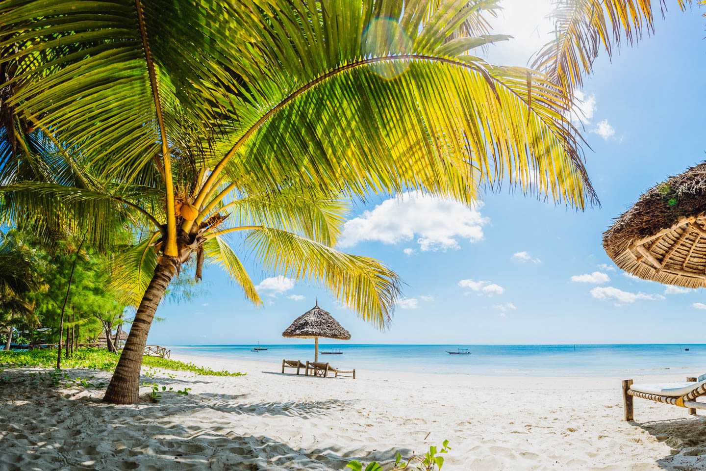 Indian Ocean Islands butiama beach mafia island zanzibar