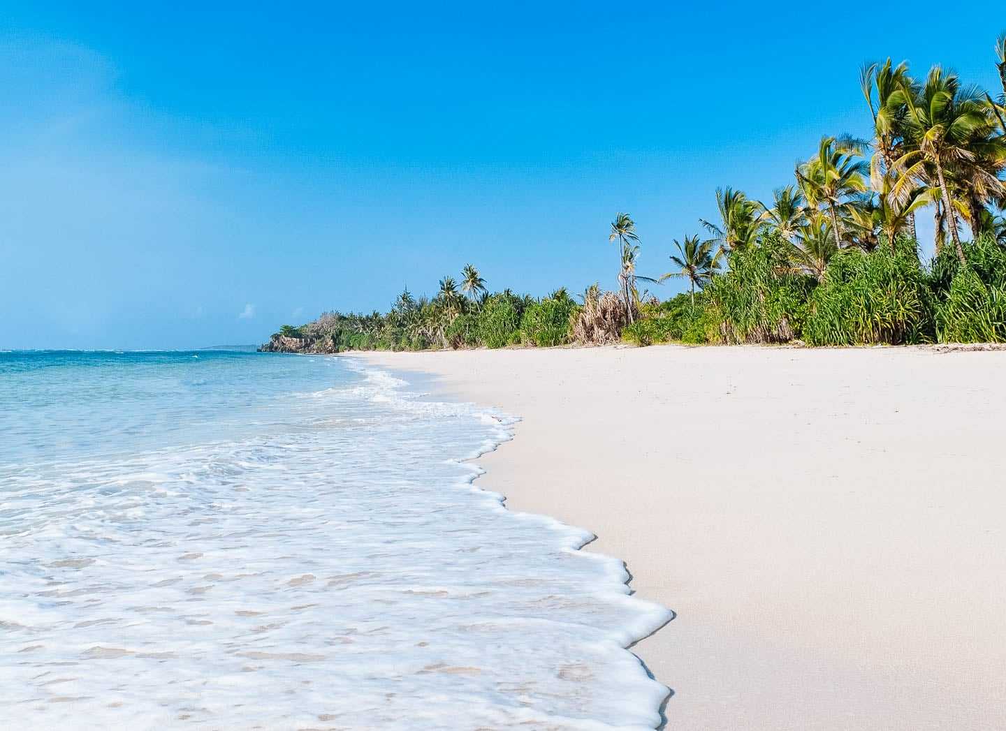 top kenya travel tips msambweni beach