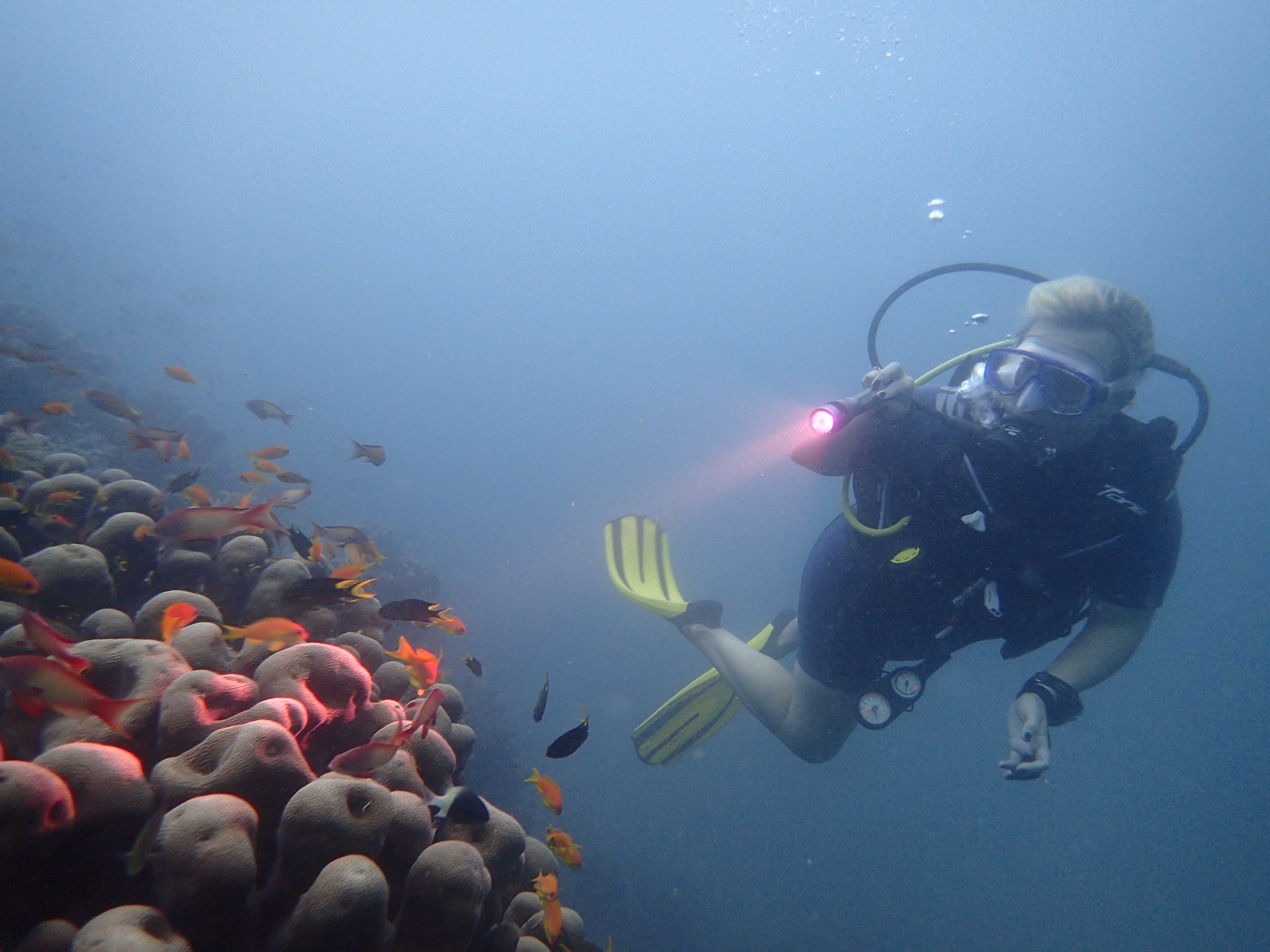 Quirimbas Archipelago