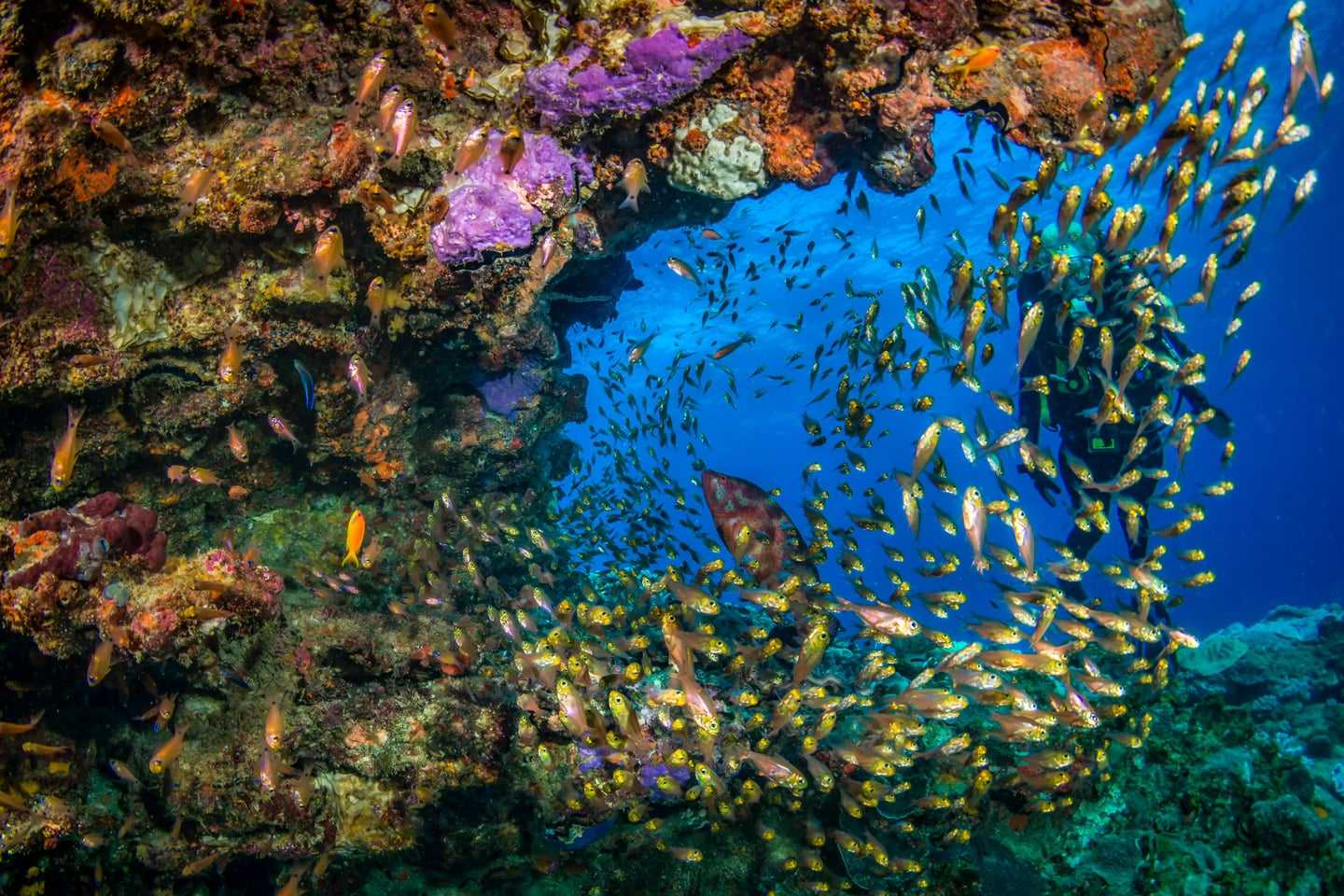 where to go in mozambique