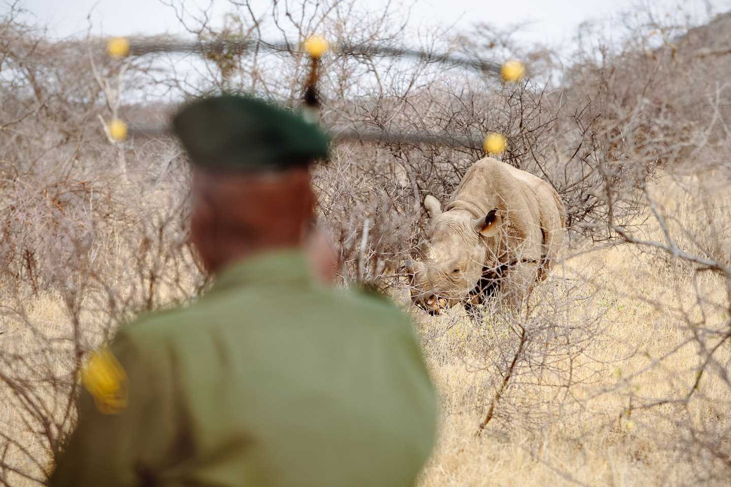 off the beaten tracks