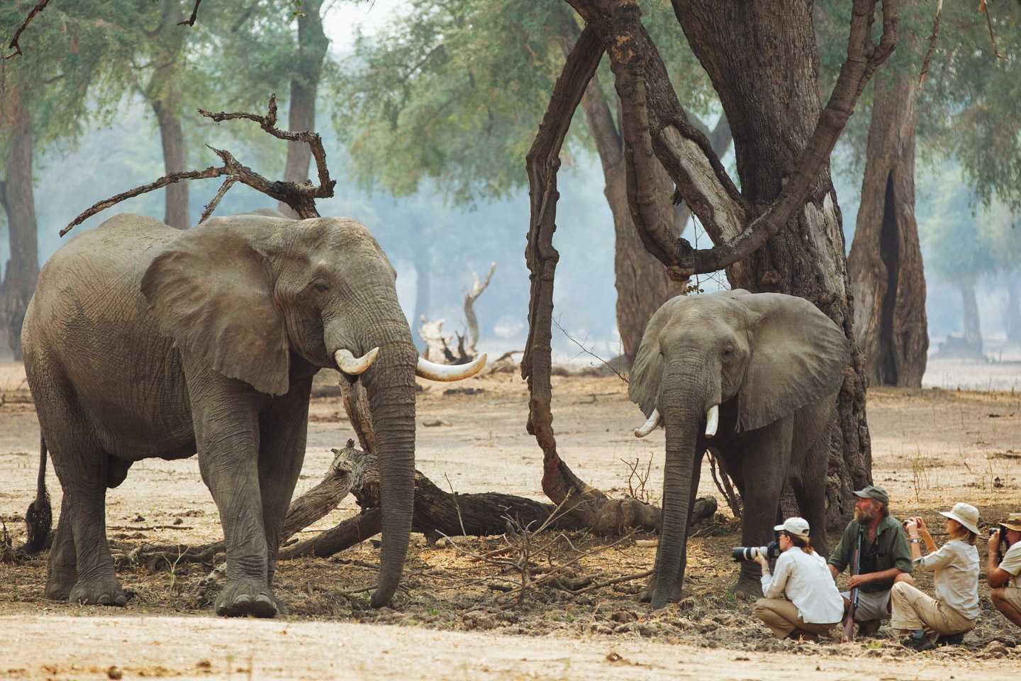 off the beaten tracks