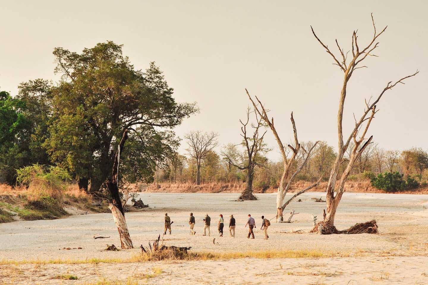 off the beaten tracks