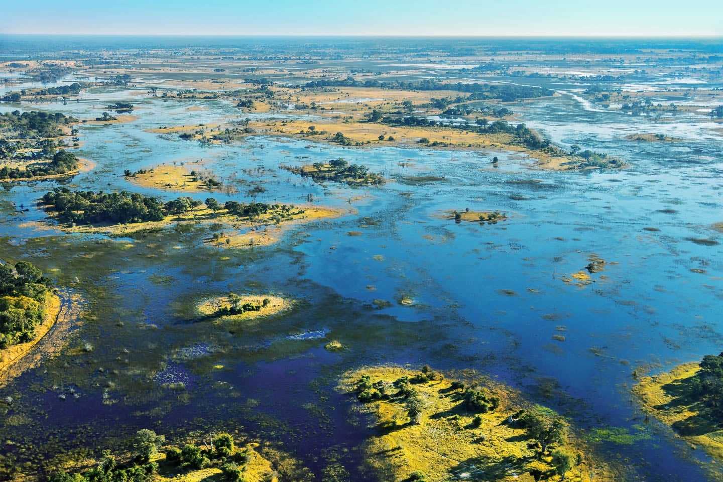 Record Rains in the Okavango Delta in 2017