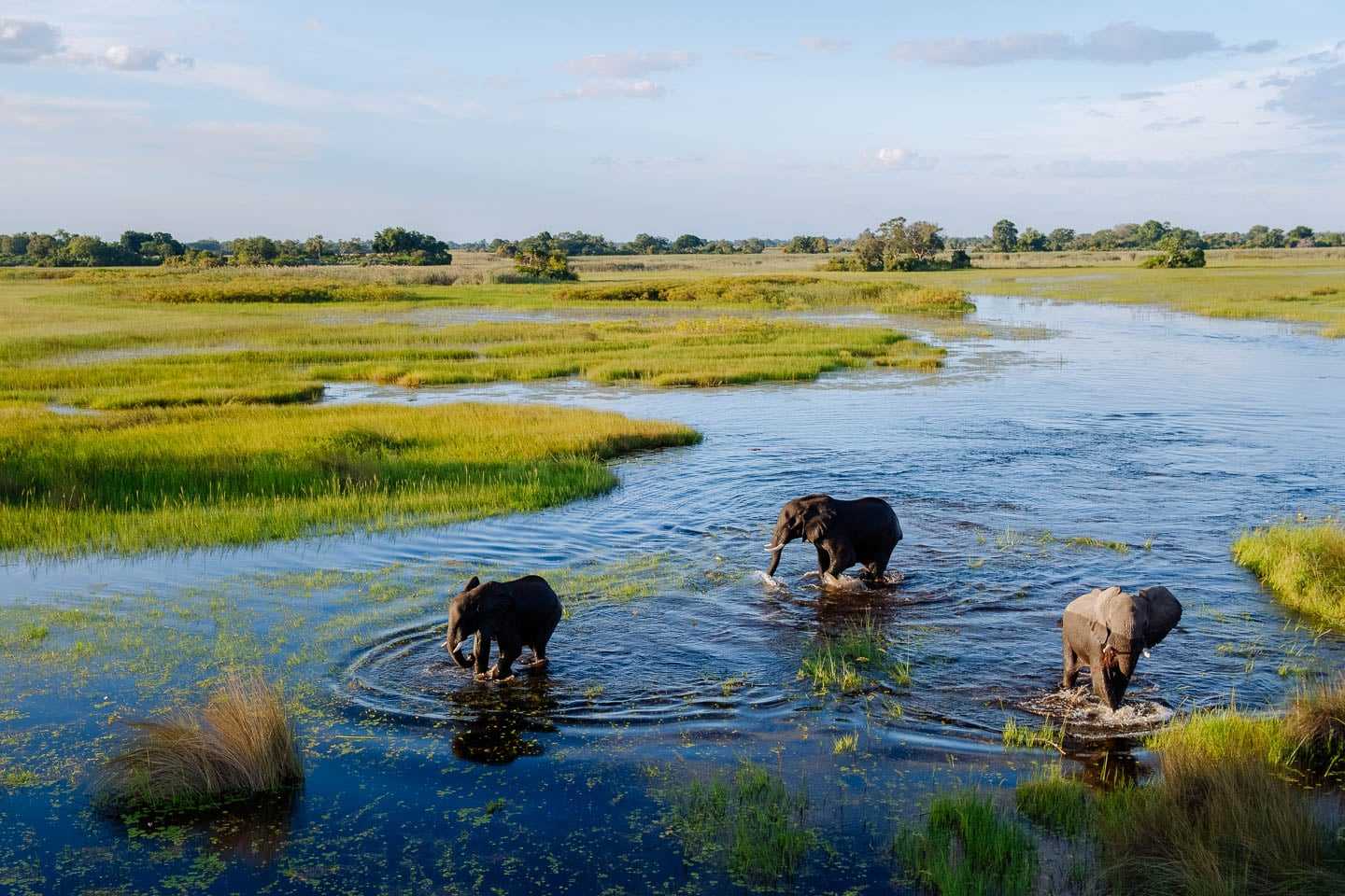 okavango 2017