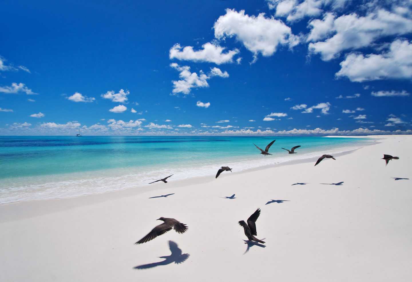west beach bird island mauritius