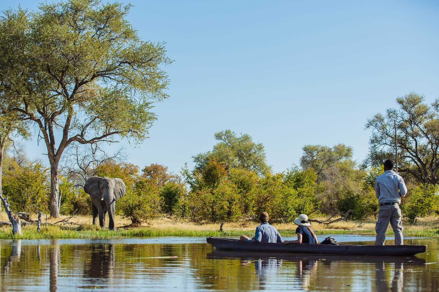 machaba camp okavango best of 2017