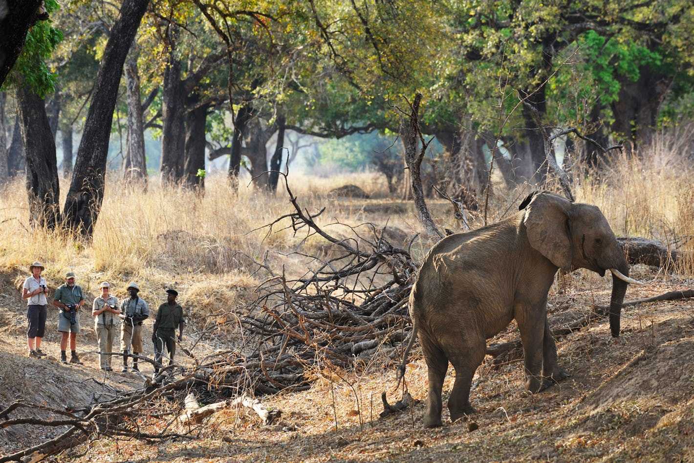 Things to do in Zambia 