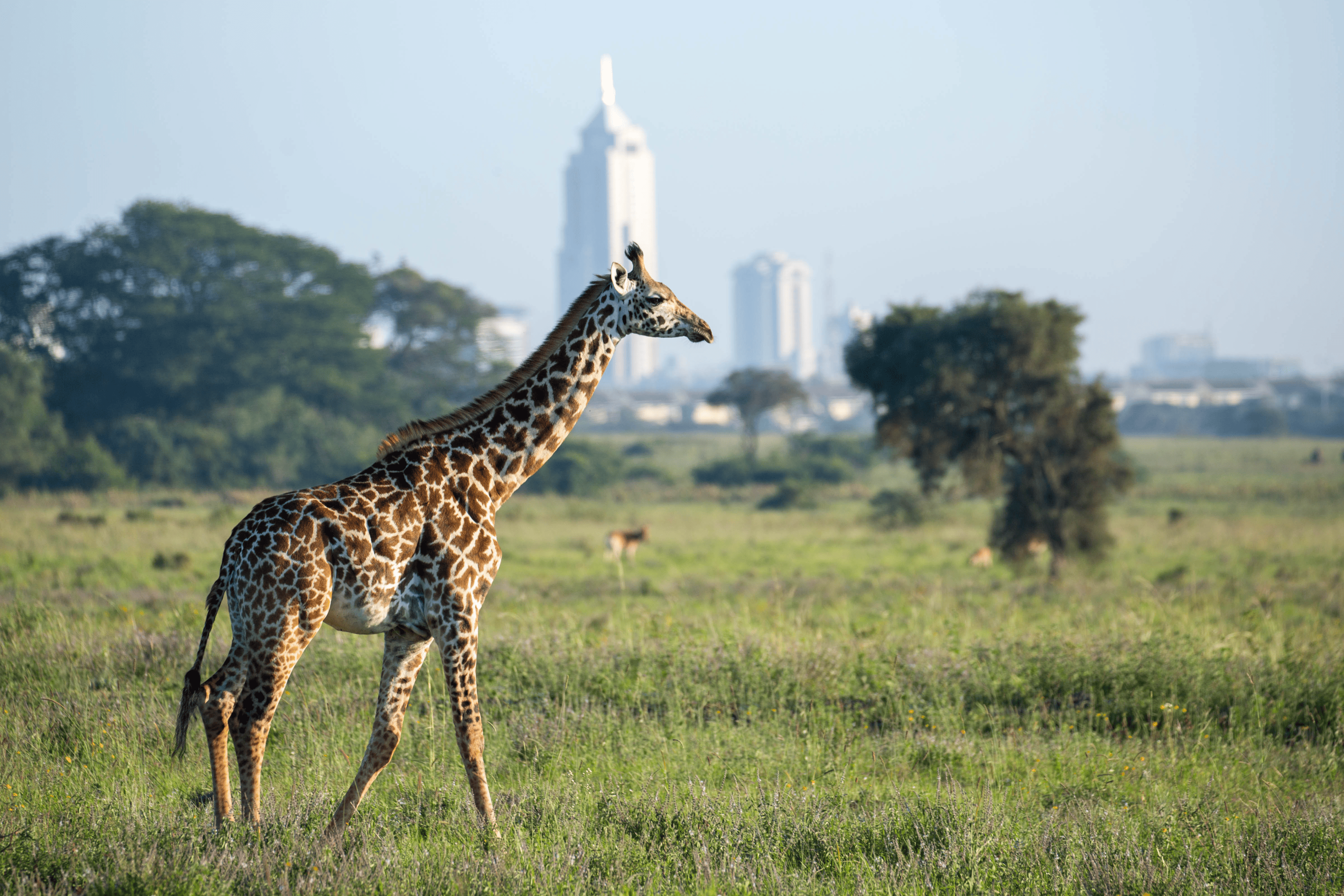 24 hours in Nairobi