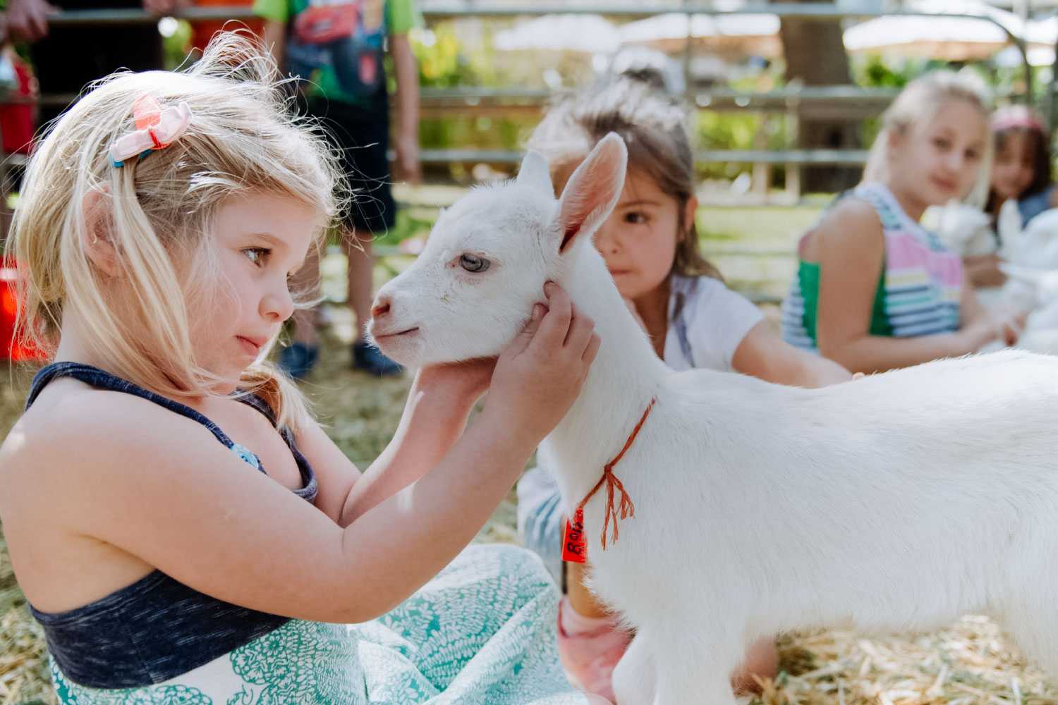 Family activities in the Cape Winelands