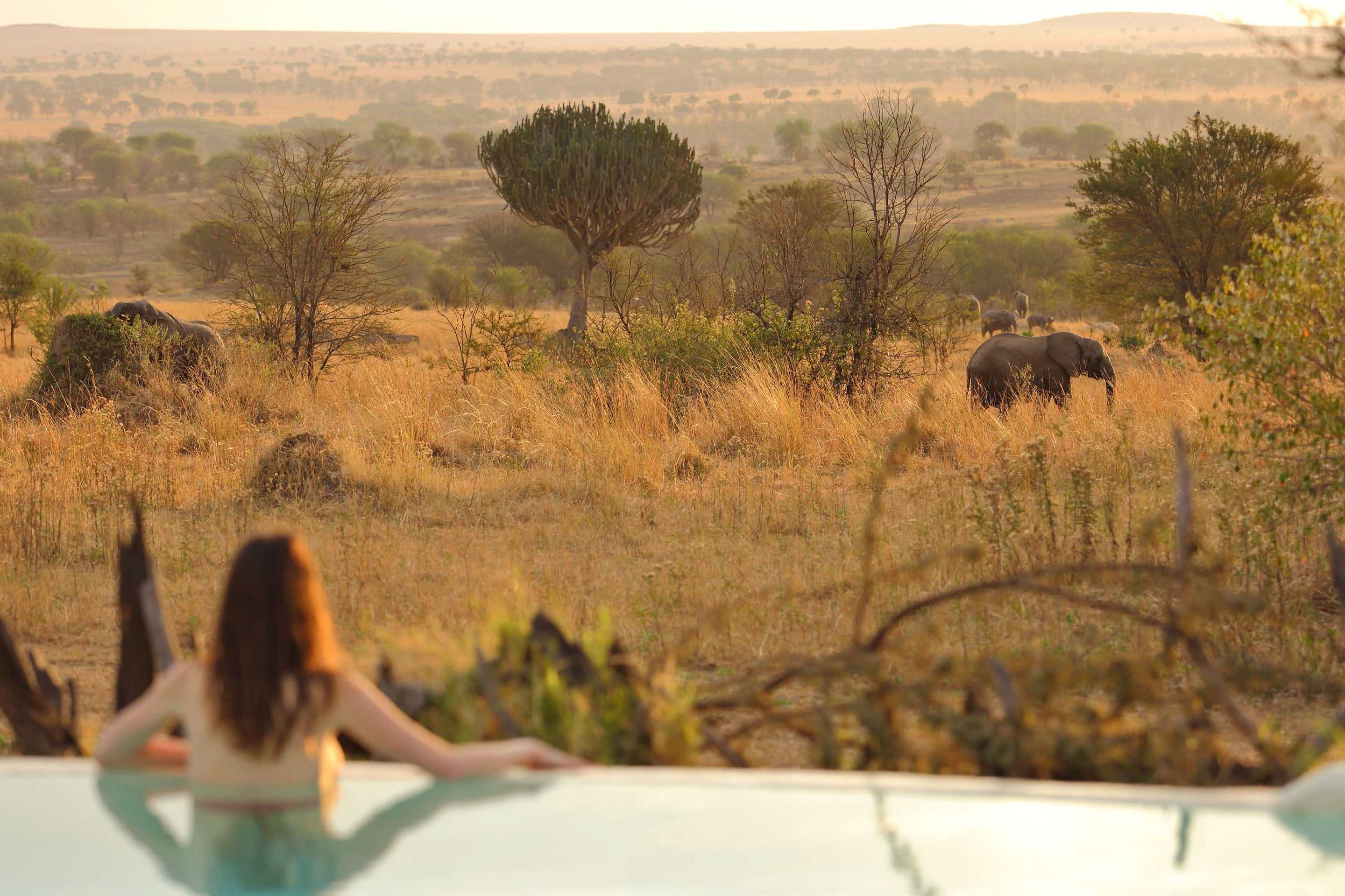 Best of 2018 - Sayari