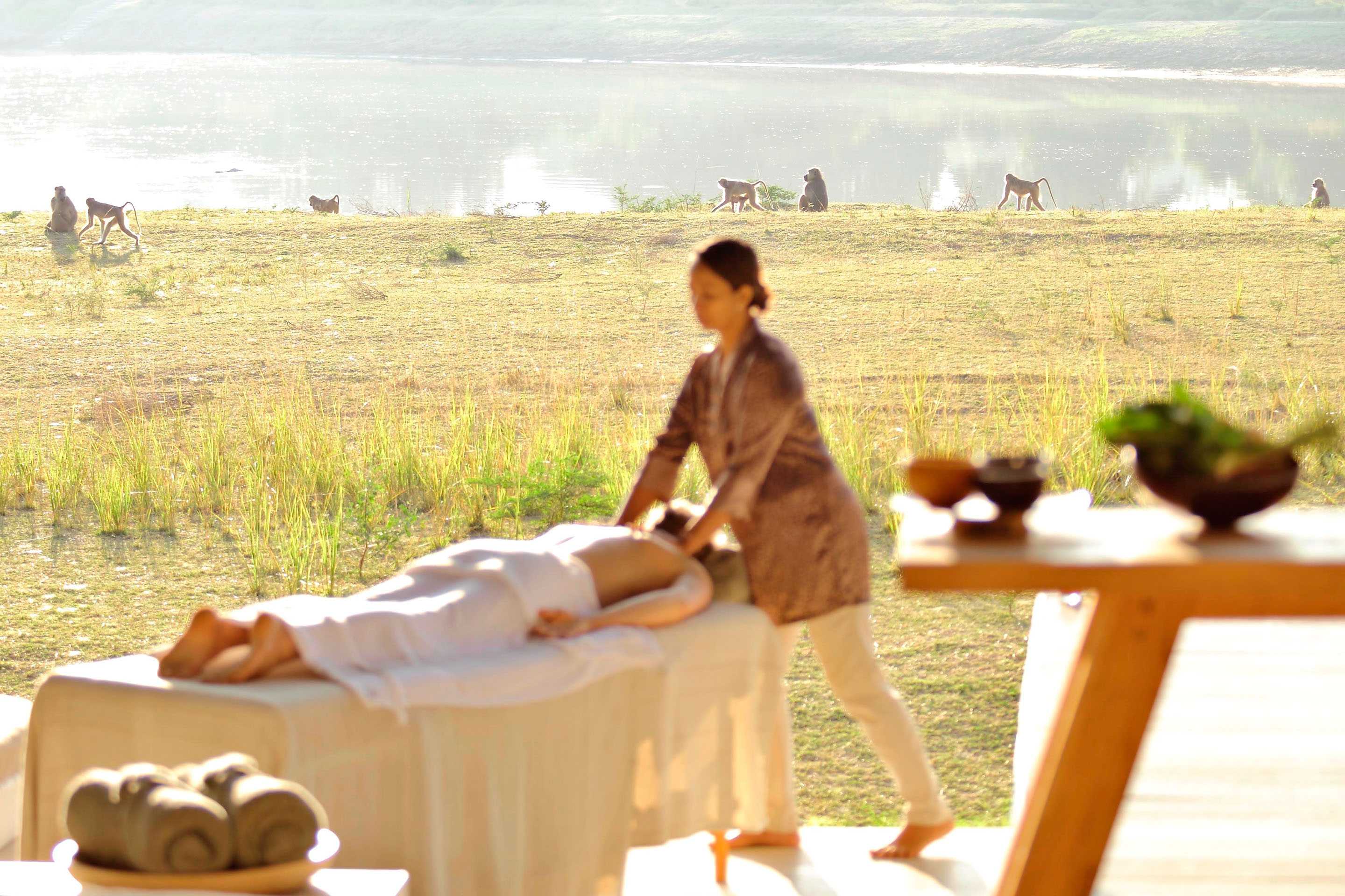 Best Wellness Safaris