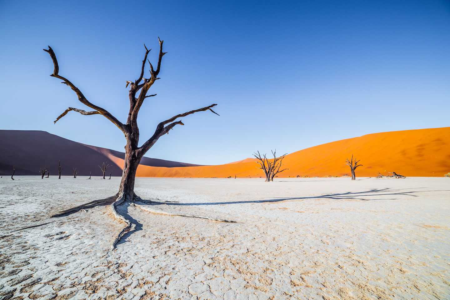 Top five lodges for a Sossusvlei safari