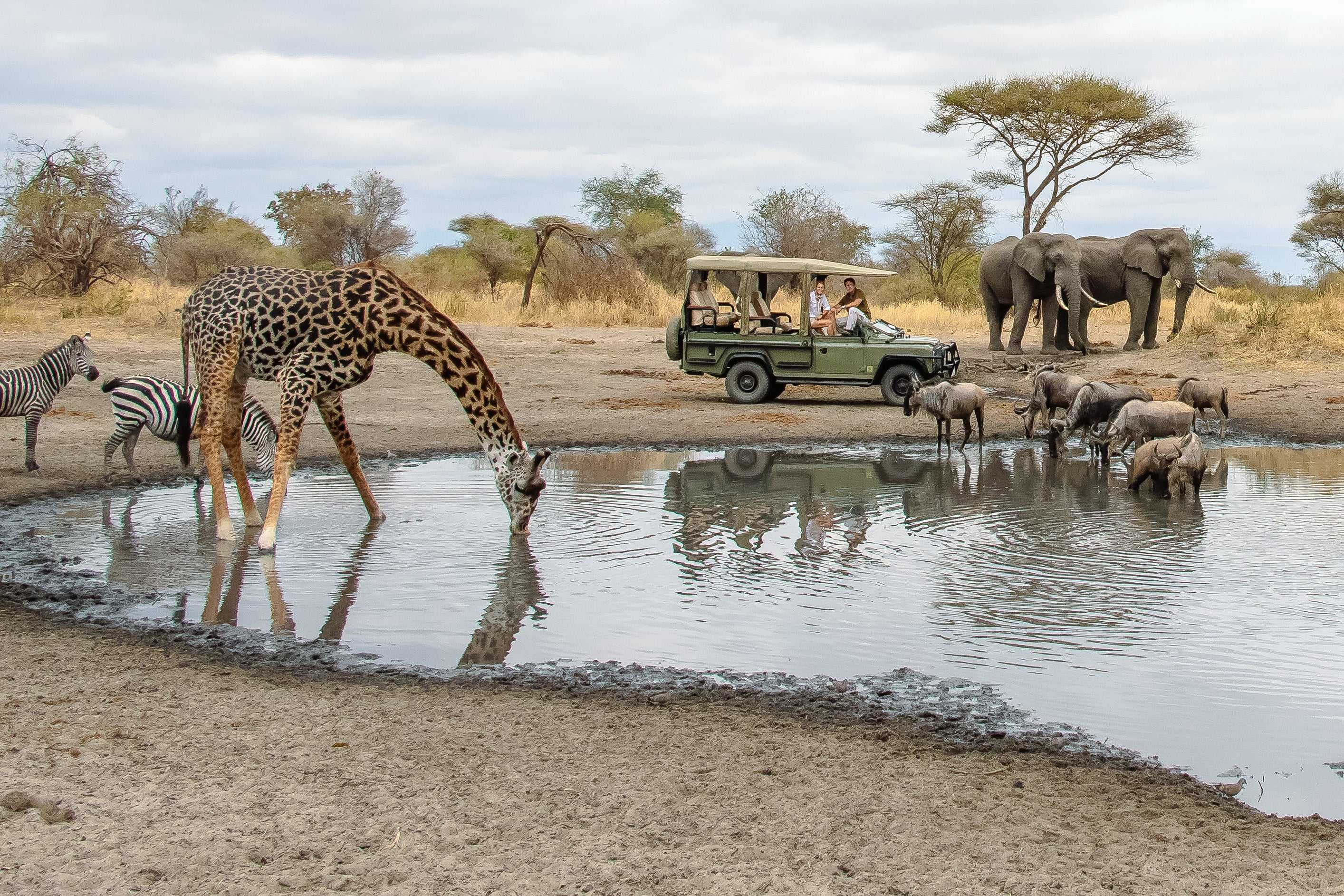 Plan an affordable Tanzania safari