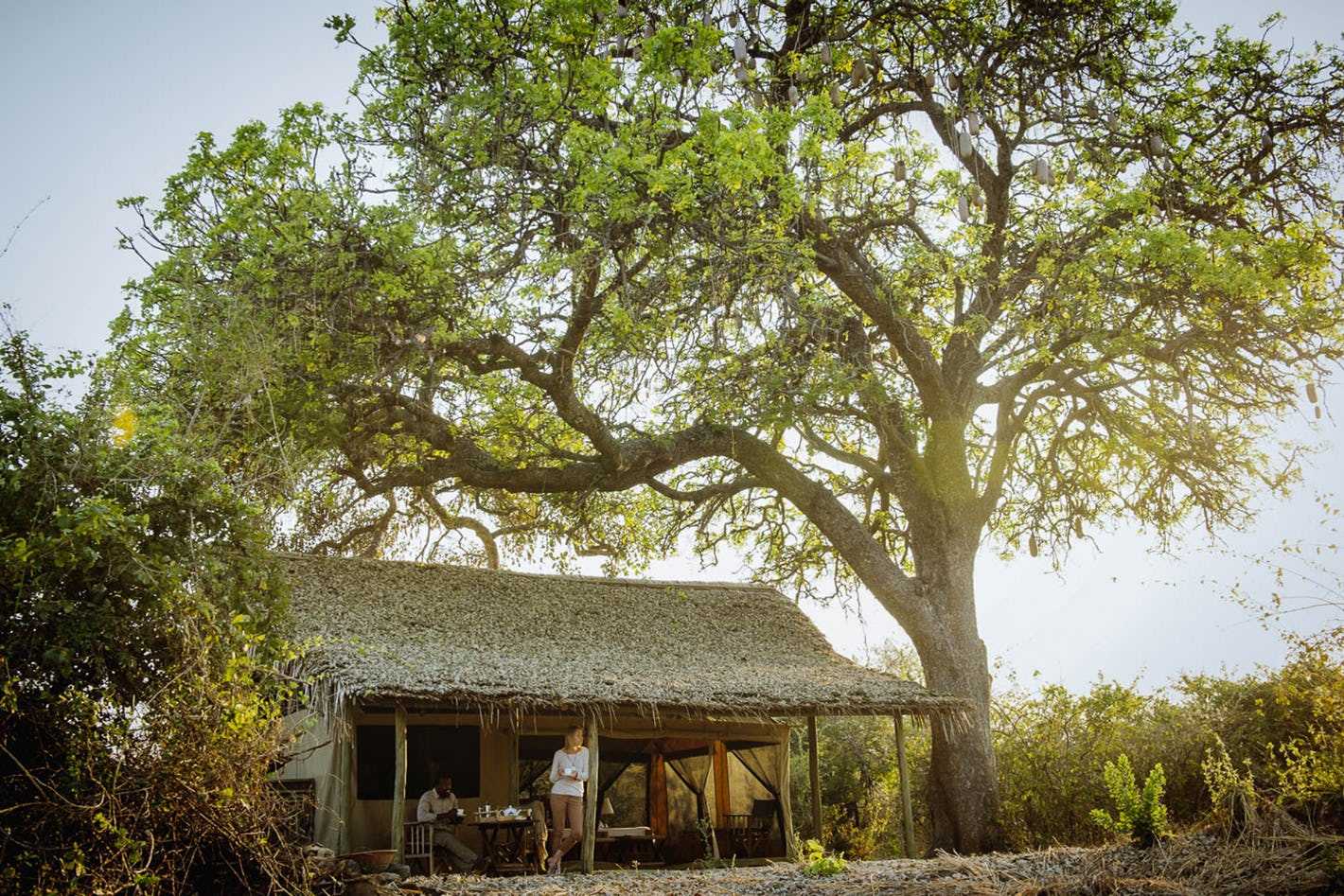Best lodges in Tanzania