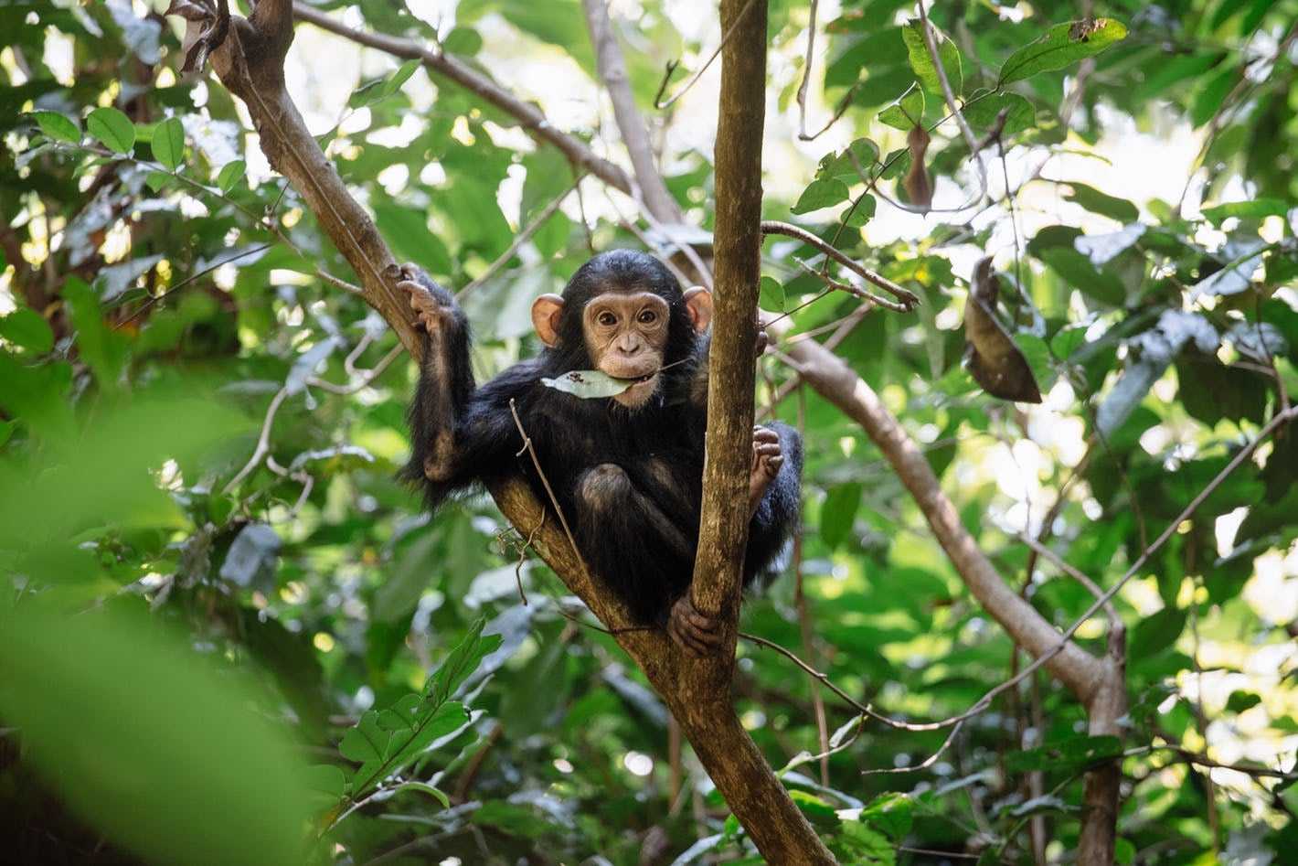 Things to do in Tanzania