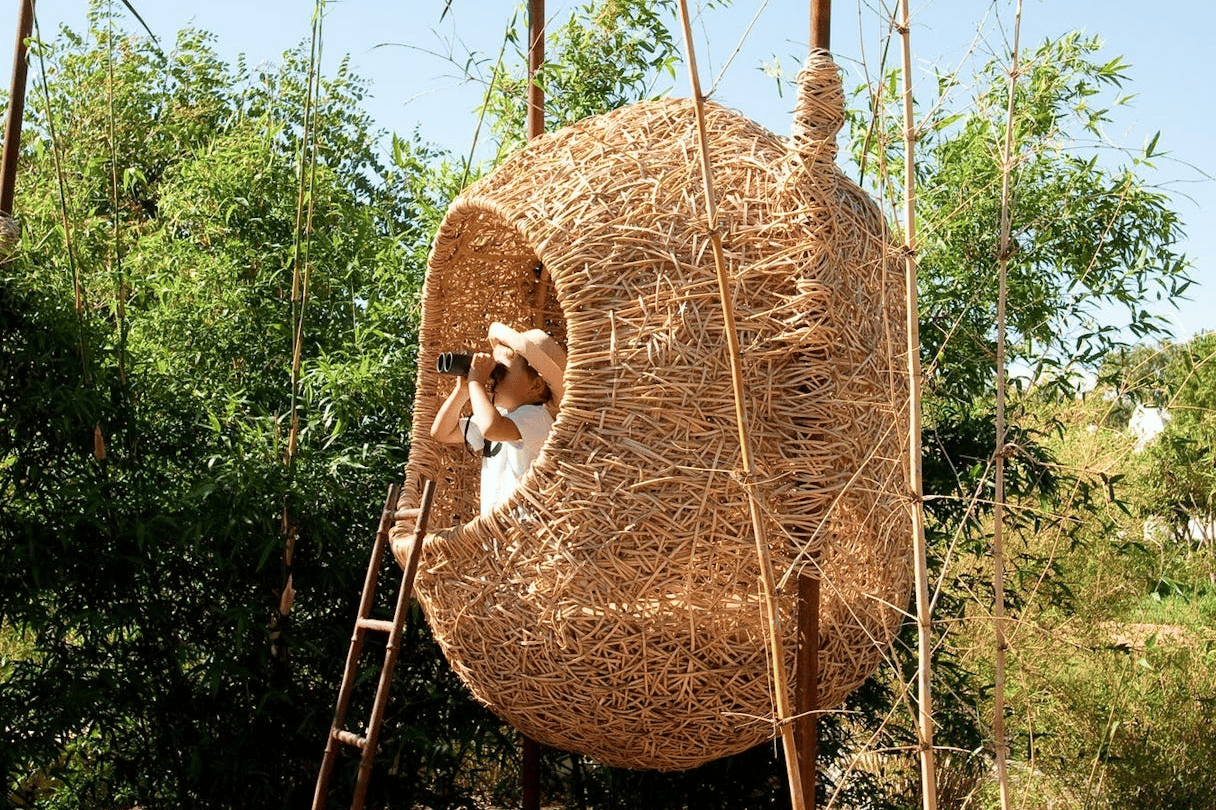 Top family-friendly hotels in the Winelands