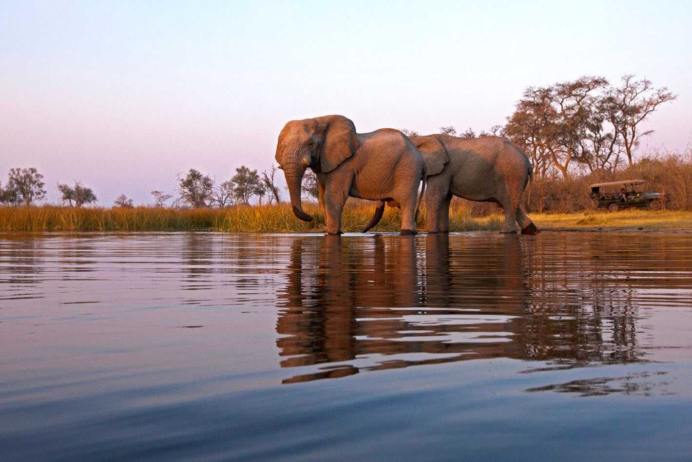 Botswana Honeymoon