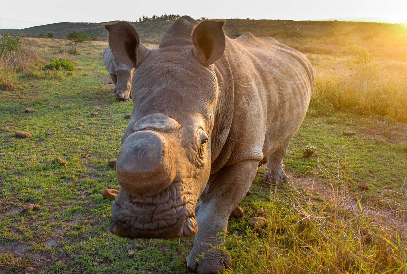 Things to do in South Africa