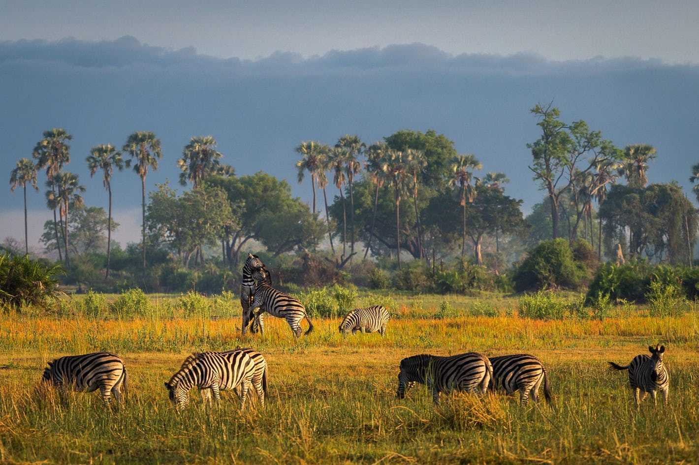 Botswana travel tips