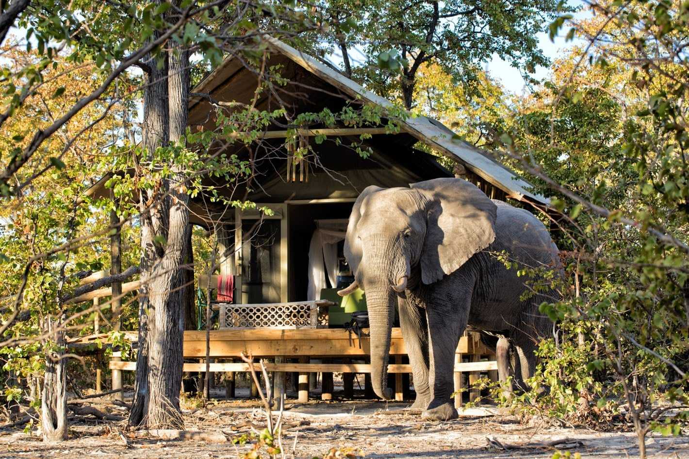 Botswana travel tips