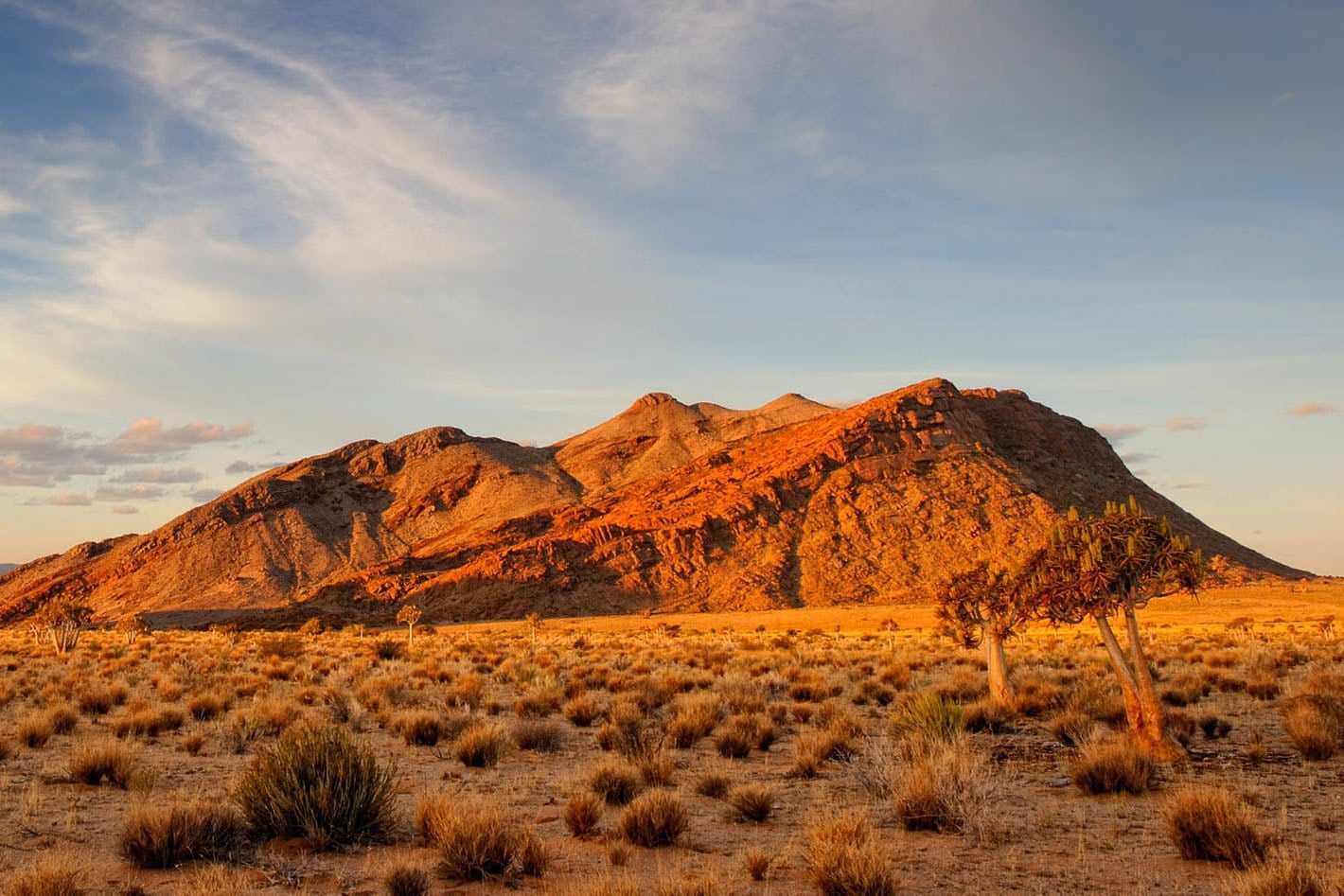 How to plan an affordable Namibia safari