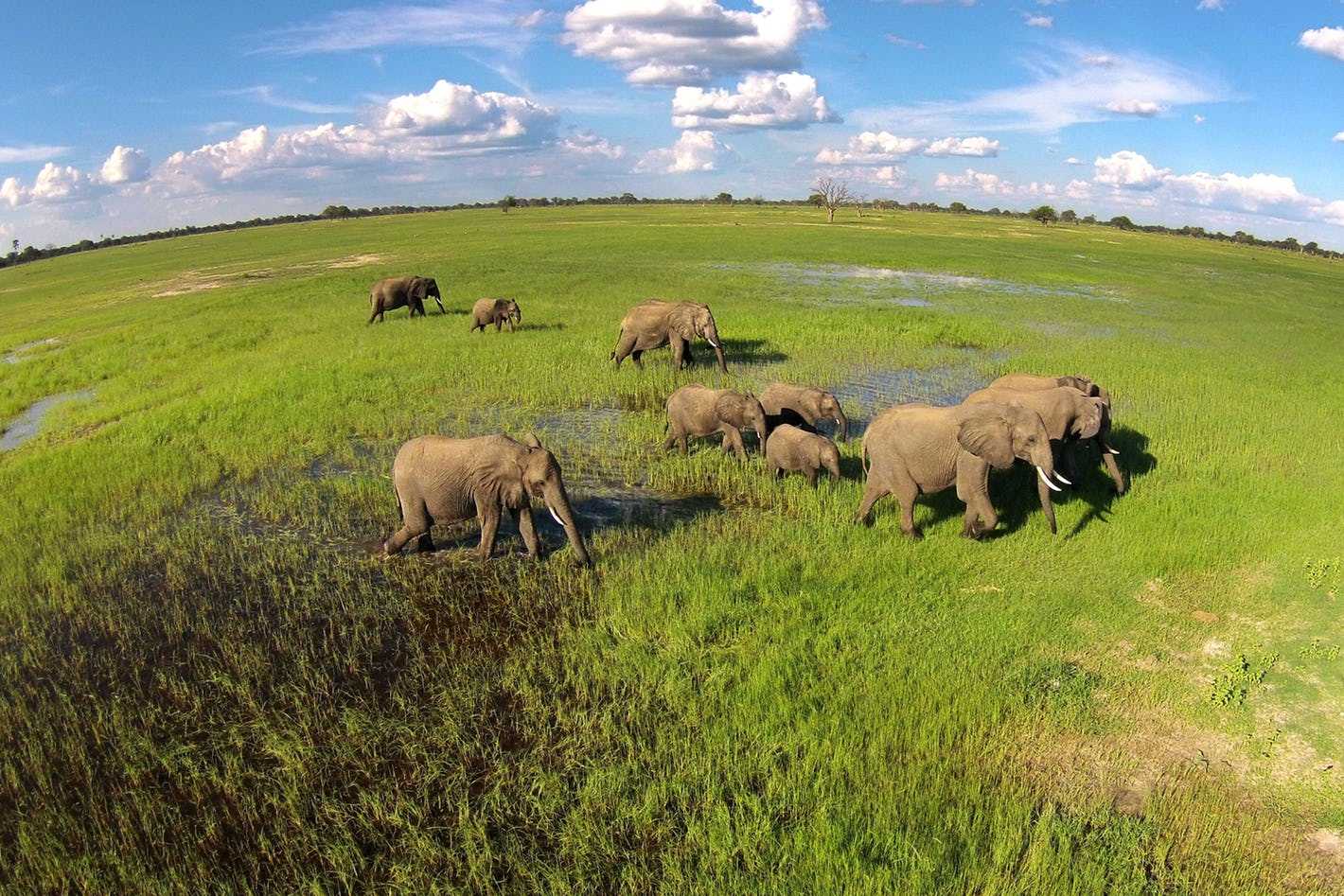 How to plan an affordable Zimbabwe safari