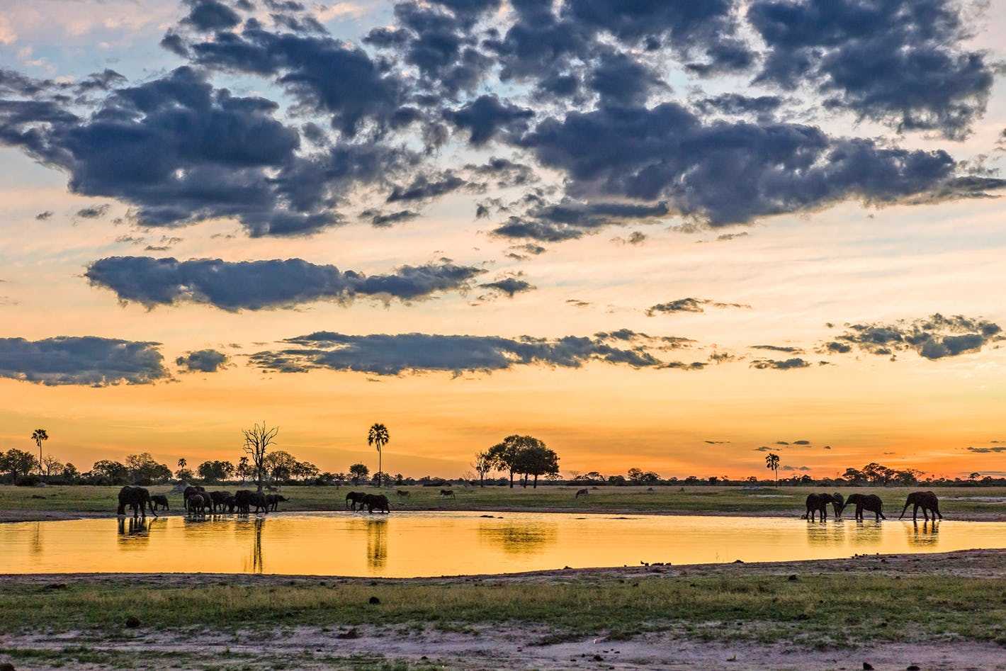 How to plan an affordable Zimbabwe safari