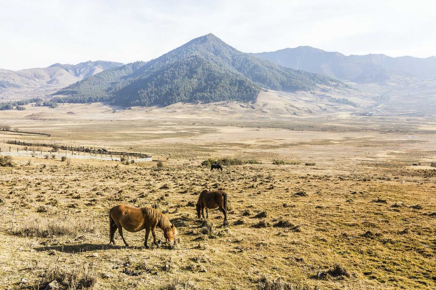Bhutan Country Guide
