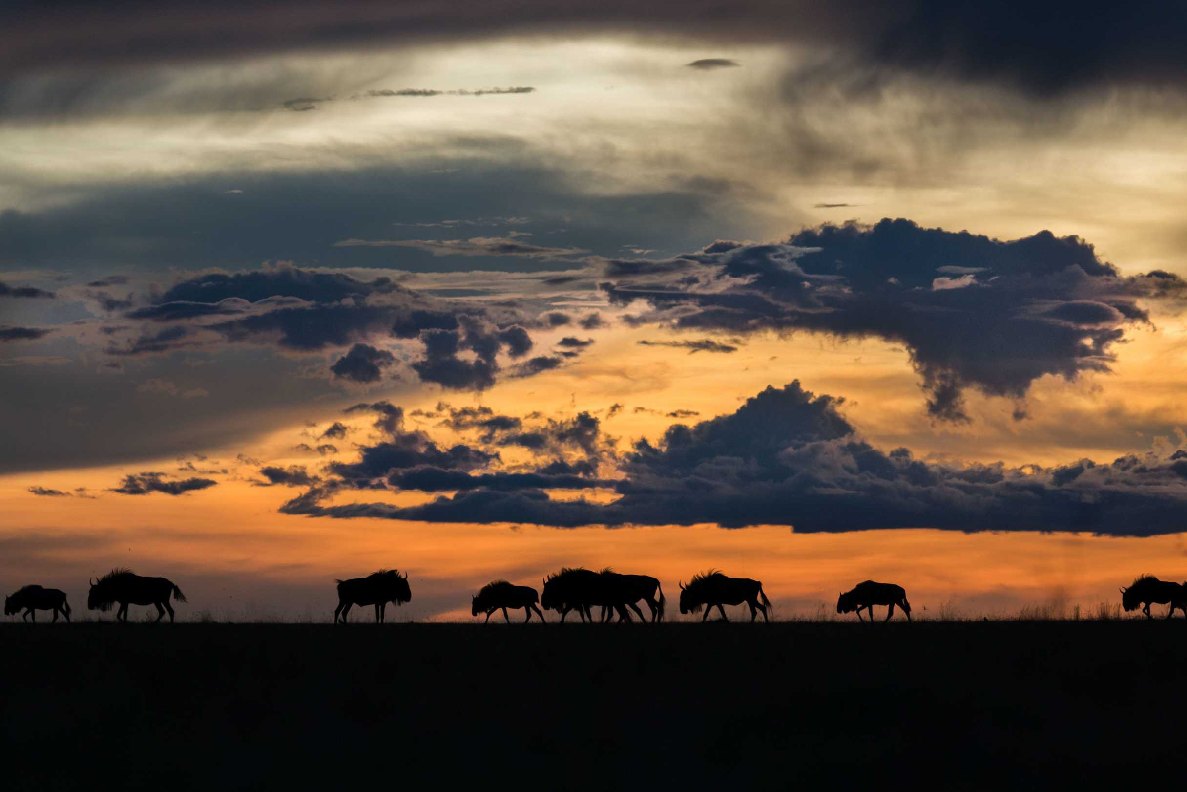 dreaming of for 2021