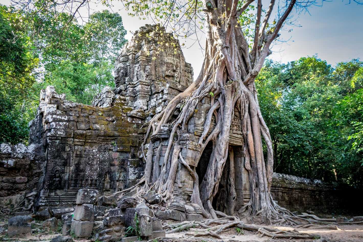 Cambodia country guide