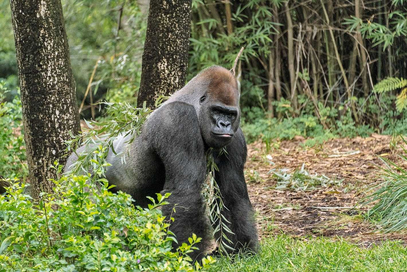 off the beaten track safari