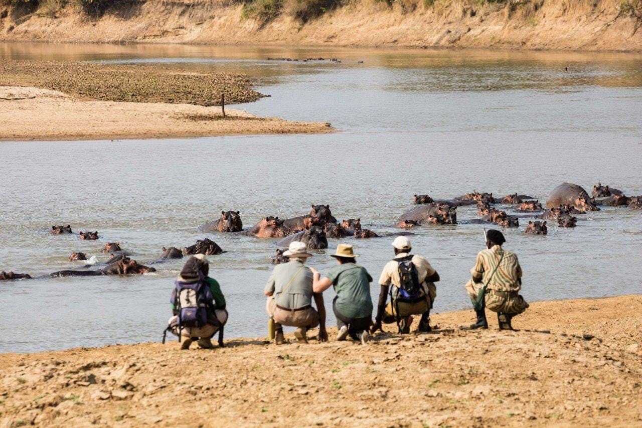 off the beaten track safari