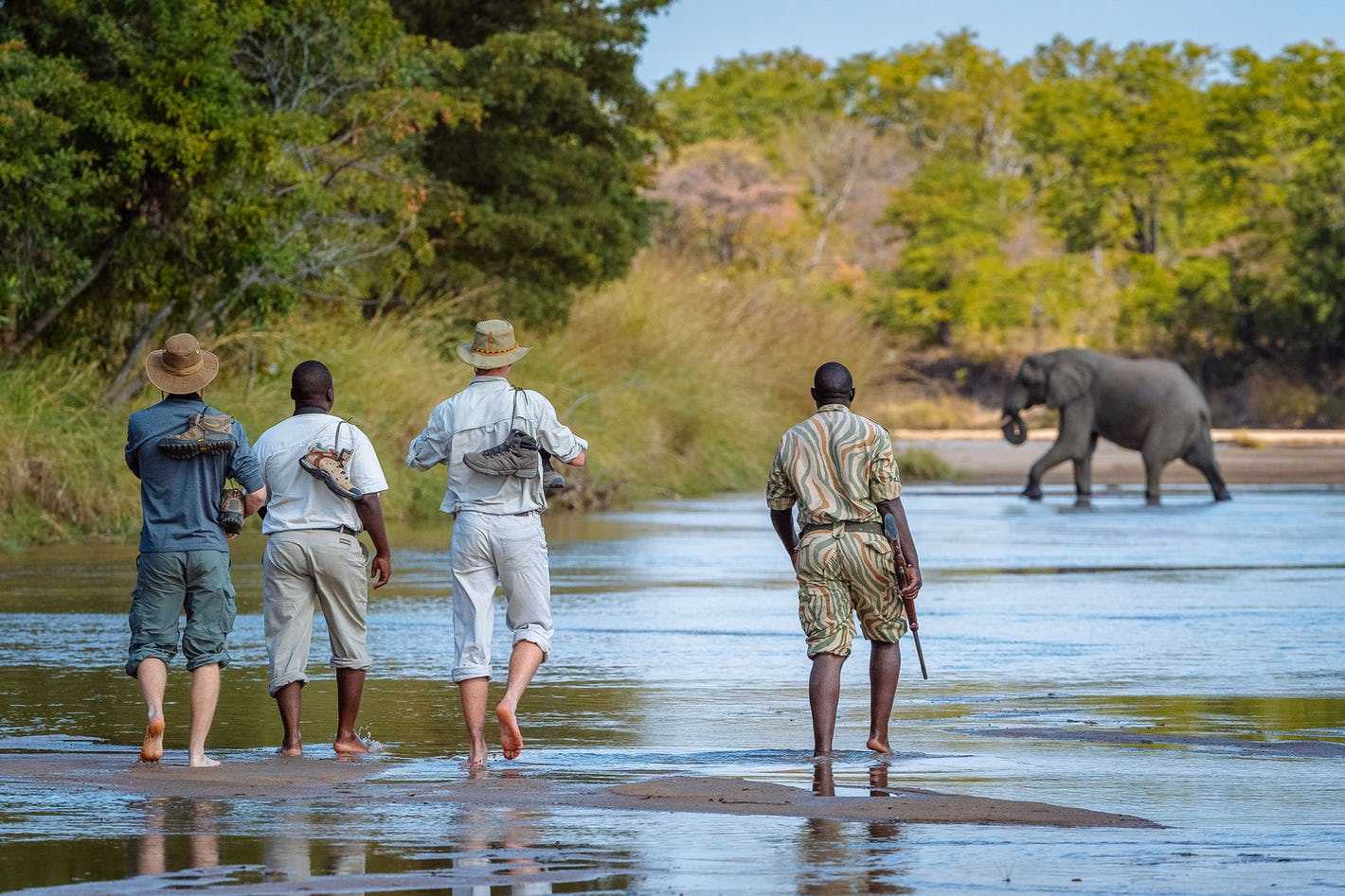 bucket list safaris