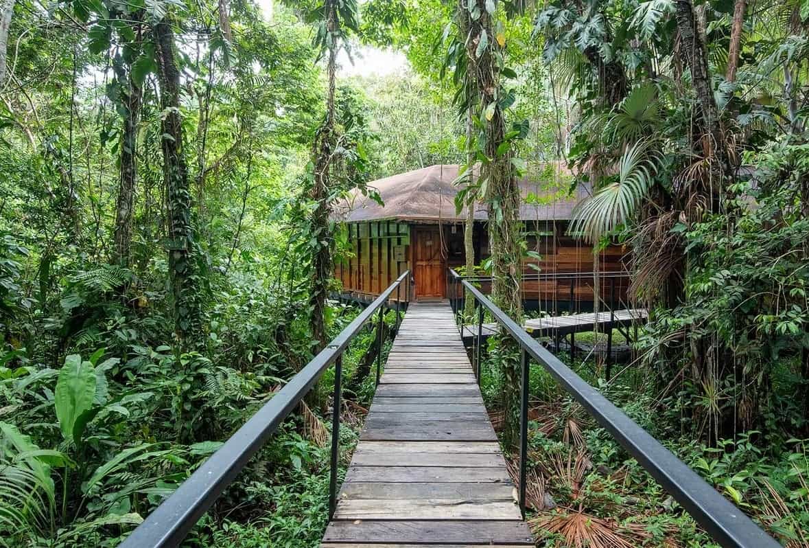 Best Ecuador lodges