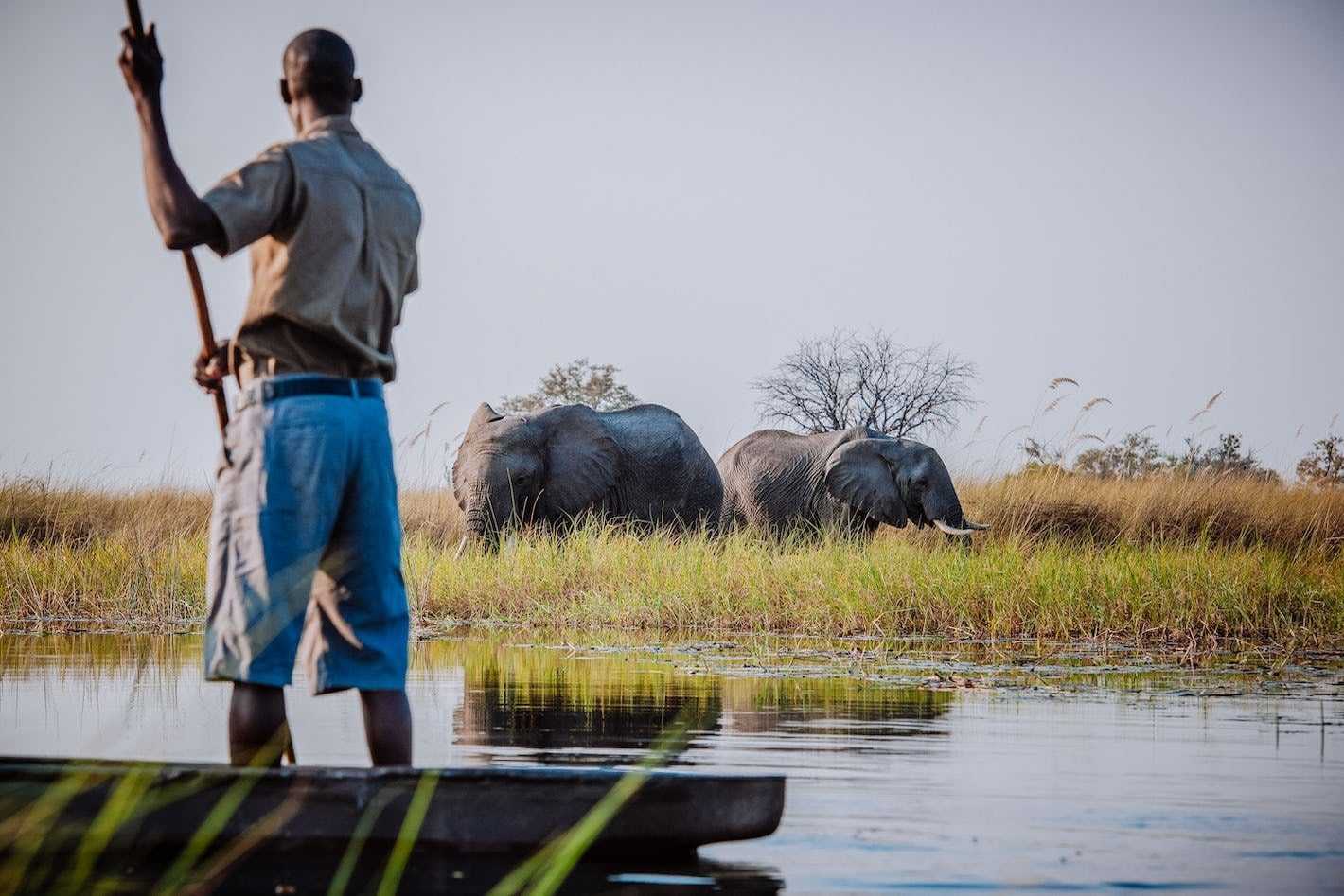 solo travel in Botswana