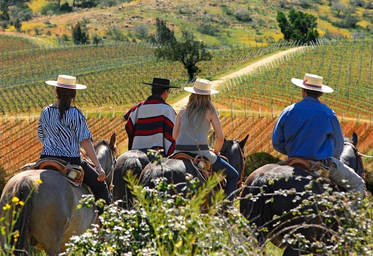 The best regions for wine tasting in South America
