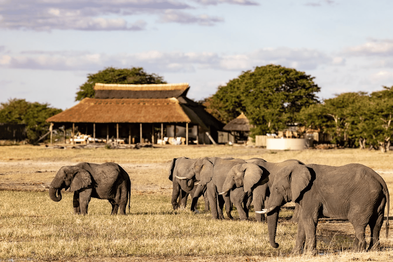 Hwange National Park
